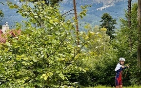IMG_4540.jpeg