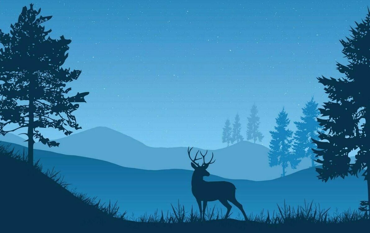 Zdjęcie do Myślistwo to nie mordowanie!