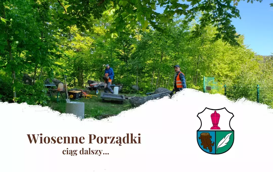 porzadki