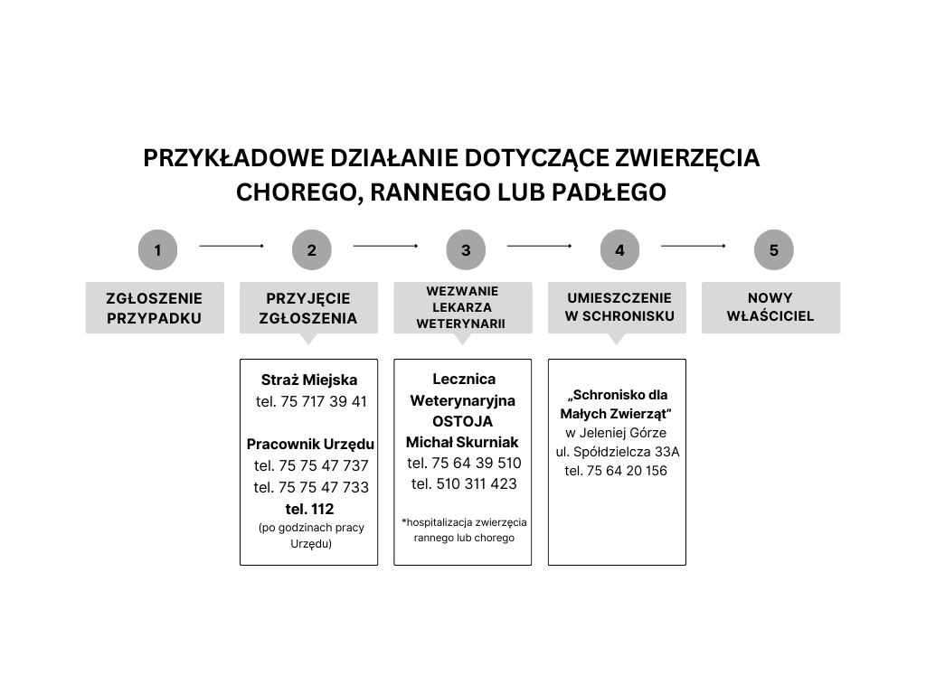 Manual_1