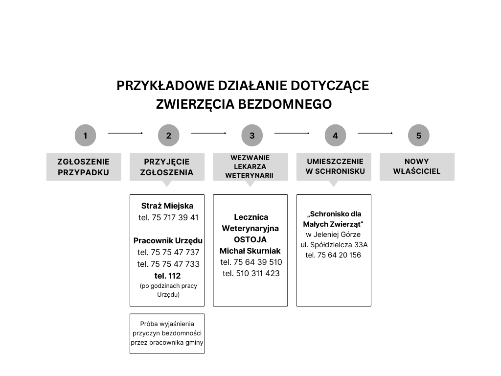 Manual_2
